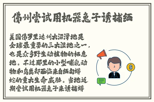 人与马畜禽corporation翻译